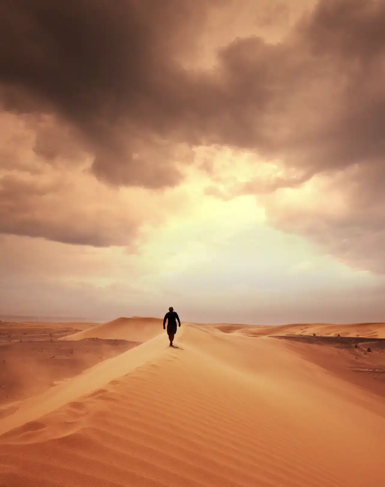 The Gobi desert in Mongolia.